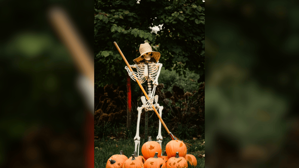 Bismarck Businesses Compete in Bone Battle