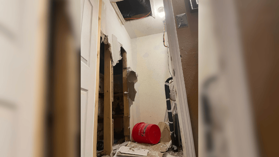 Fugitive Captured After Hiding Behind False Wall in Leadwood Home