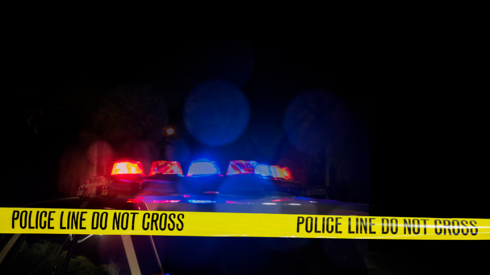 K-9 Onyx Assists in Two Successful Drug and Firearm Seizures