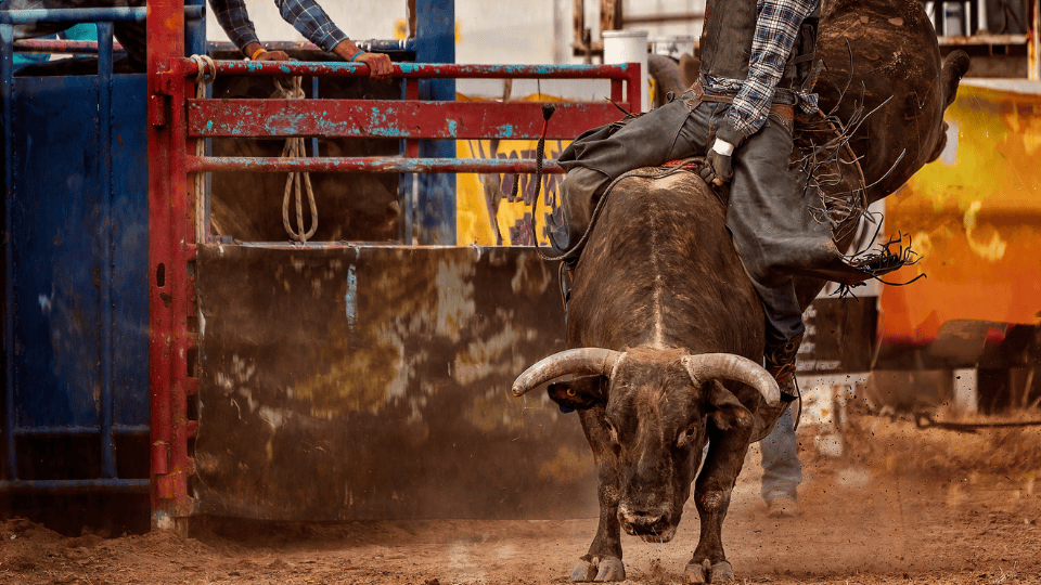 Arcadia Valley Lions Club Rodeo Returns This Weekend