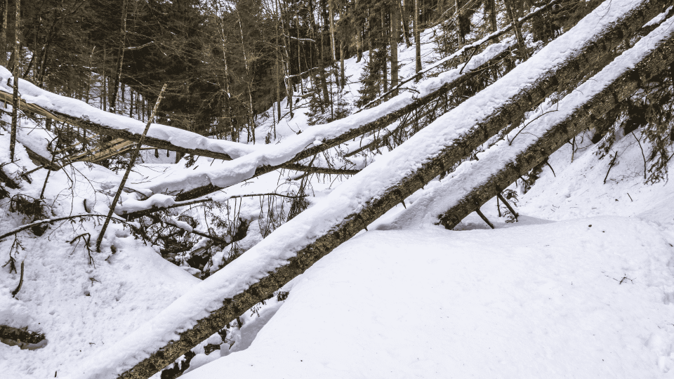 Highway Patrol Indicates Weather Preparedness is Best